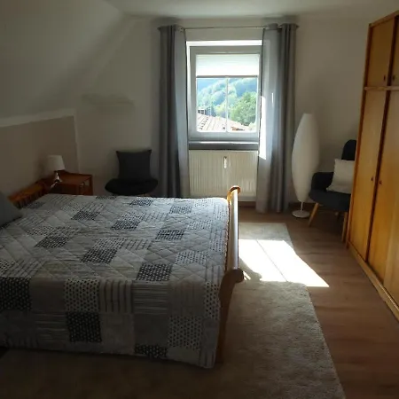 Apartment Sachsenblick Grafenau (Bavaria)